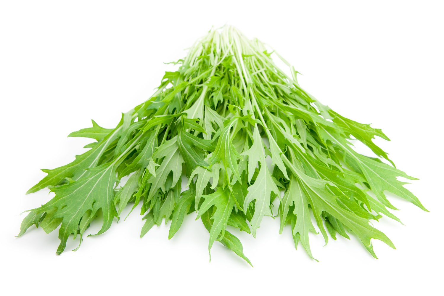 MIZUNA VERDE sobre 50g